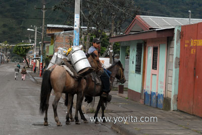 Jinotega milk carrier