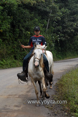 Jinotega montado