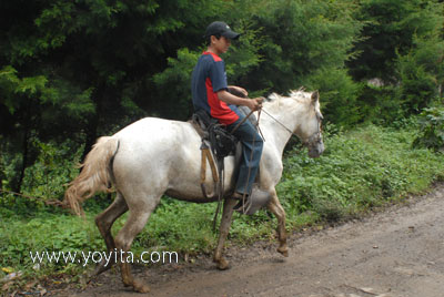 Jinotega montado