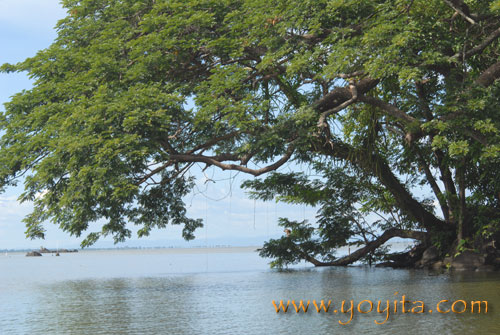 Granada Lake Tropical