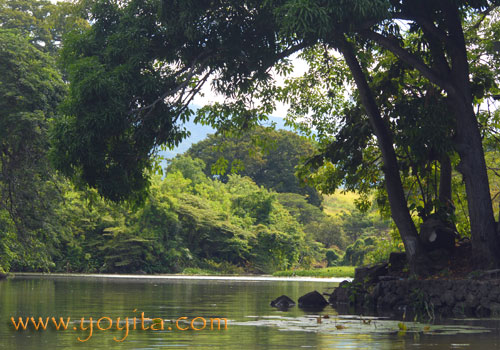 Granada Lake Tropical Flora