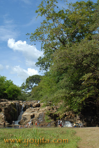 Tropical Vegetation Tropical trees waterfall