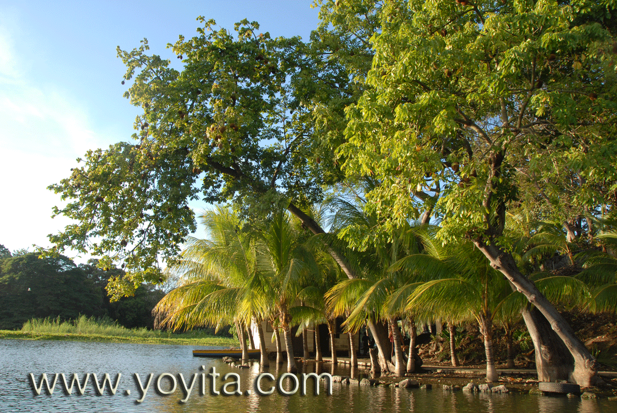Tropics Granada Nicaragua yoyita