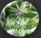 Go green Yoyita