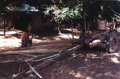 Rinder karren mit basquets, Nicaragua