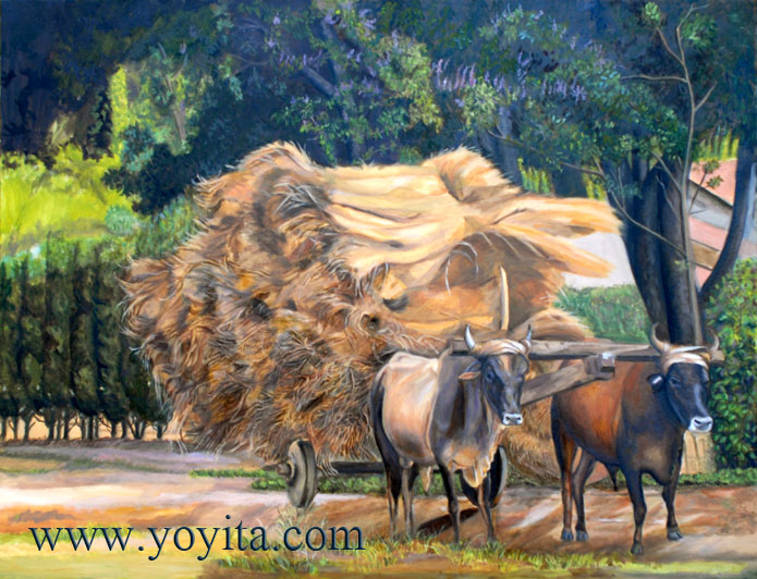 Ox cart Yunta de bueyes, carreta Nicaragua © Yoyita
