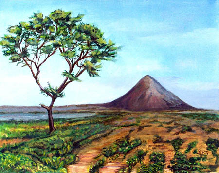 Volcan y arbol nicaragua  © Yoyita