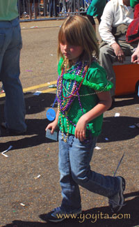 Saint Patrick day parade