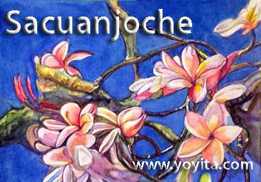 Sacuanjoche © Dr. Gloria  M. Norris Yoyita