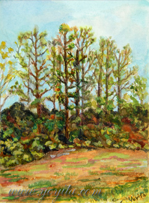 Trees miniature watercolor  by Yoyita