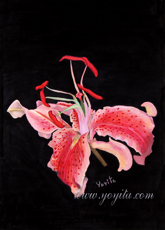 Hibiscus flower watercolor painting by Yoyita