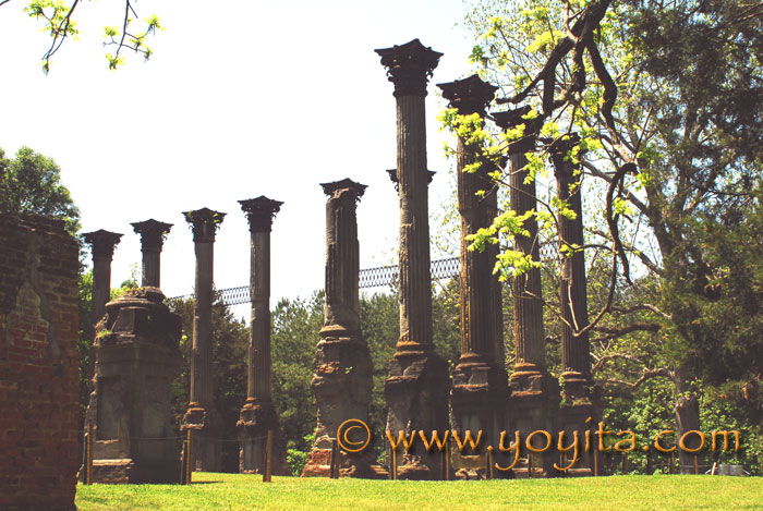 Windsor Ruins Mississippi