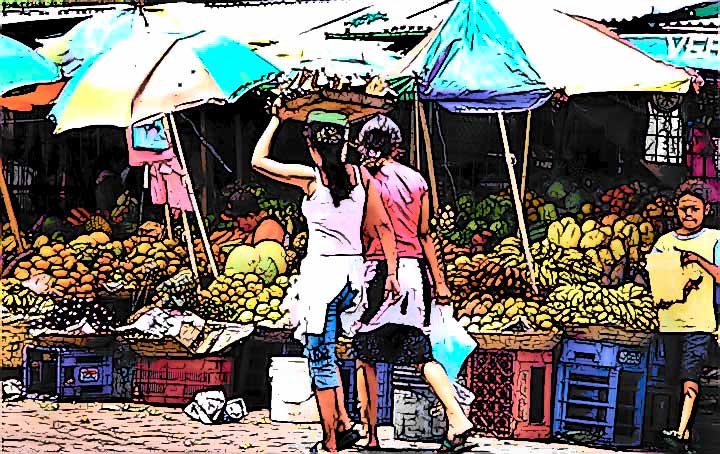 caricatura, mercado  Yoyita
