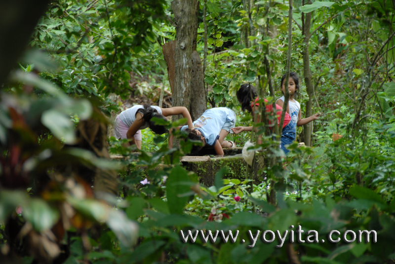 children playing on exuberant vegetation full of exotic plants and birds