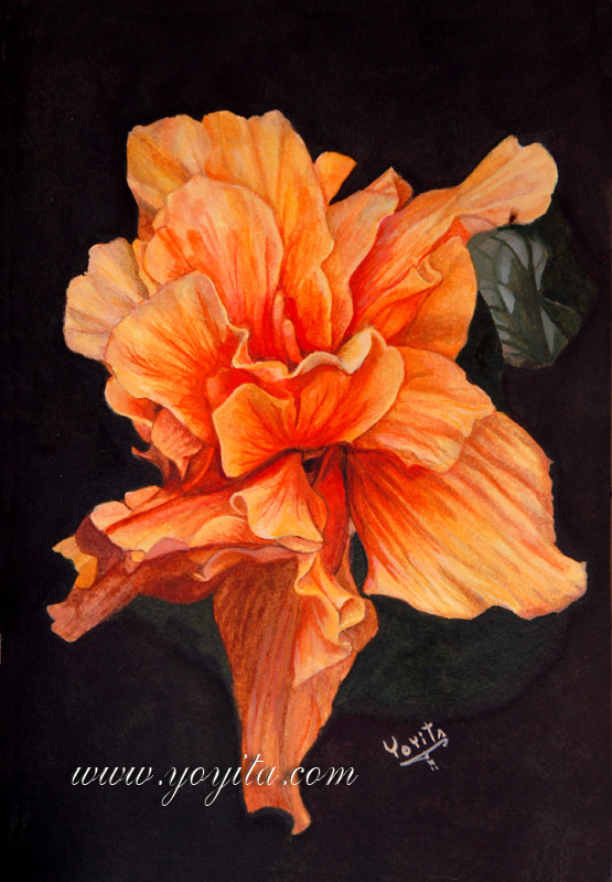 Hibiscus flower watercolor painting by Yoyita