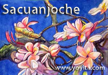 sacuanjoche frangipani cacalosúchil Plumeria rubra © Yoyita