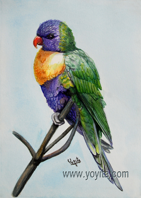 Rainbow Lorikeet
 watercolor tropical bird fauna