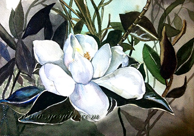 magnolia flower watercolor painting yoyita