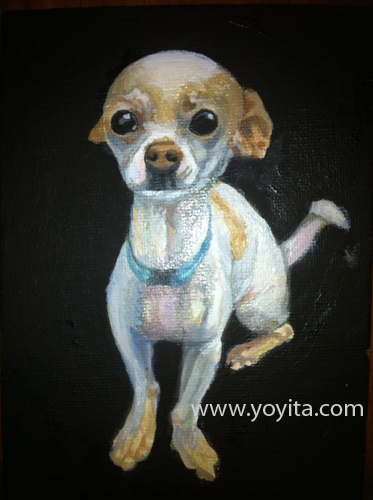 chihuahua sequence 5 the painting, learning to paint Atelier Yoyita