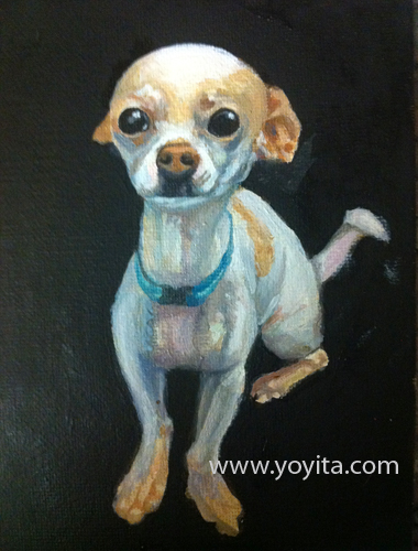 chihuahua sequence 6 the painting, learning to paint Atelier Yoyita