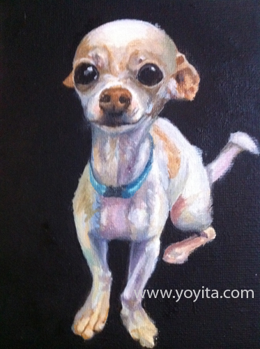 chihuahua sequence 8 the painting, learning to paint Atelier Yoyita