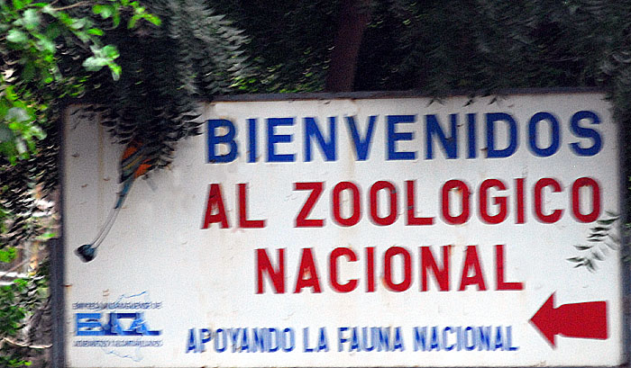 zoologico nacion